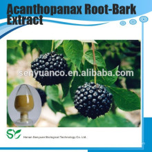 Bester Verkauf Acanthopanax Root-Bark Extrakt